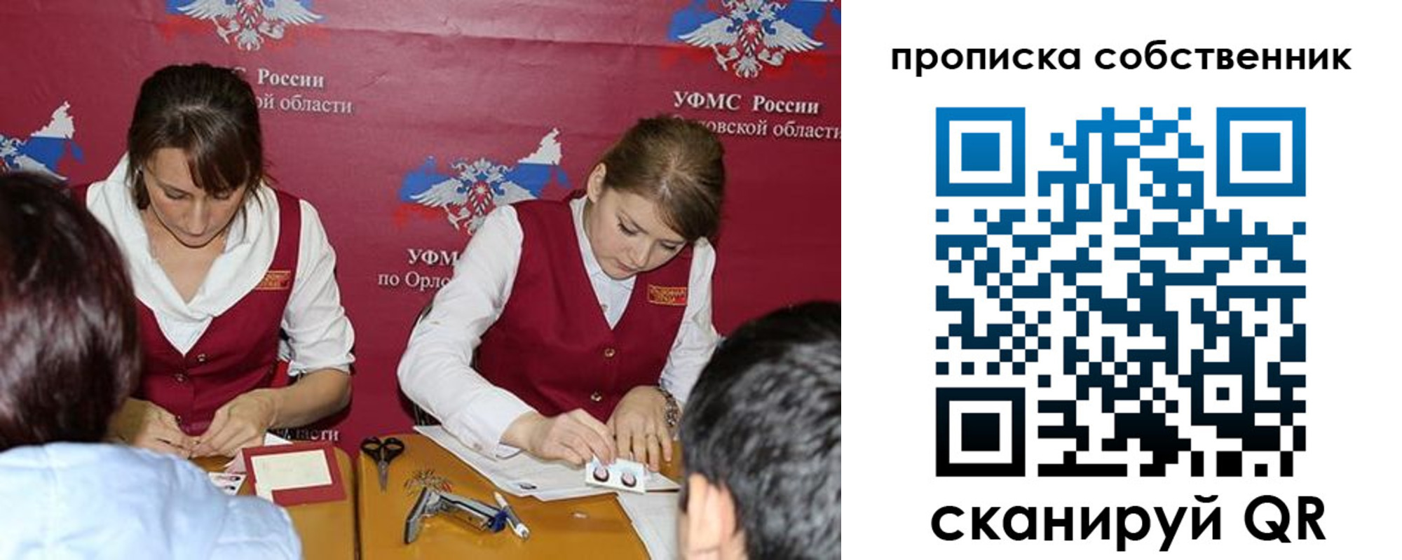 прописка поиск в Александровске