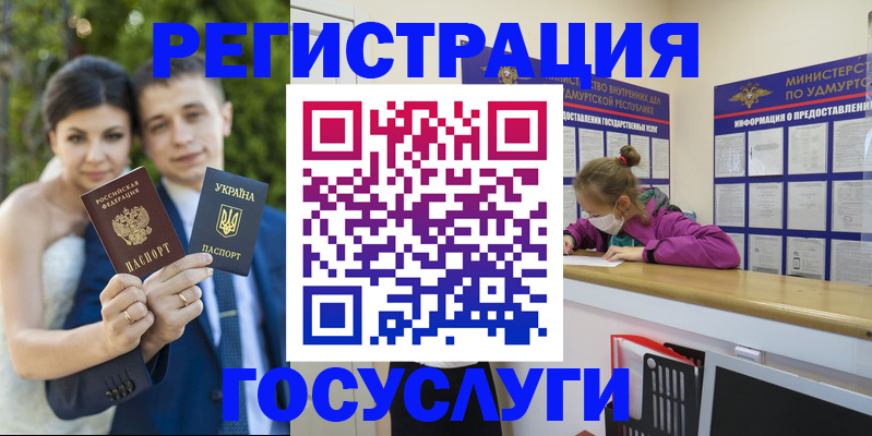 прописка поиск в Александровске